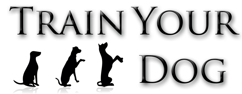 TrainYourDog